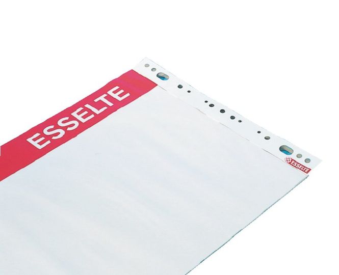 Hovedbilde Esselte Flipchart Pad 96551 – 5 stk